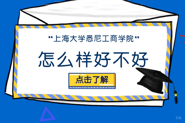 上海大学悉尼工商学院深度解析：办学特色与核心竞争力