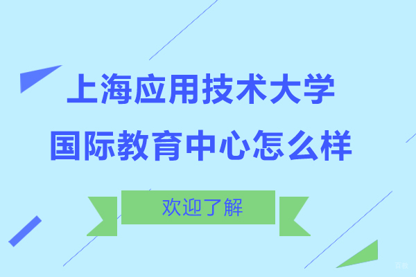 上海应用技术大学国际教育中心办学实力深度解析
