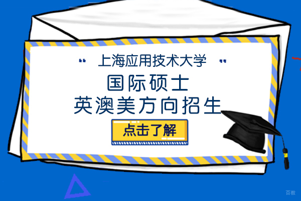上海应用技术大学国际硕士预科项目深度解析