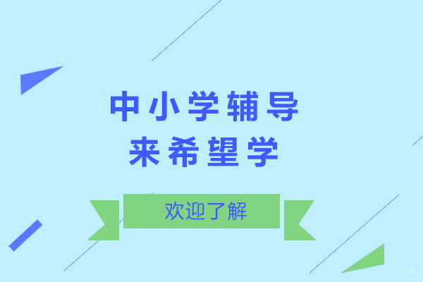 济南希望学个性化教学全解析