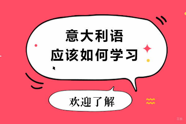 青岛意大利语高效学习路径全解析