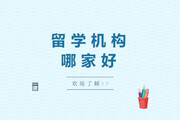 青岛留学服务机构深度解析