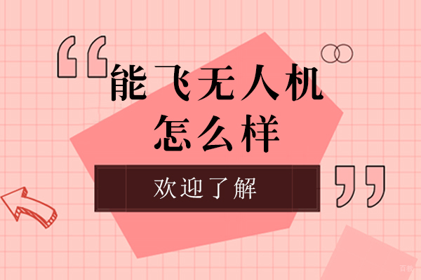 能飞航空无人机教育体系深度解析