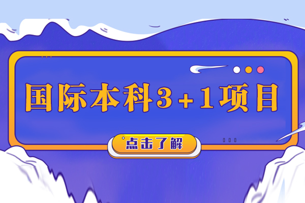 上海国际本科3+1项目深度解析与择校指南