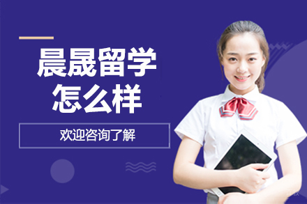上海晨晟留学服务体系深度解析