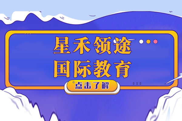 上海星禾领途国际教育深度解析