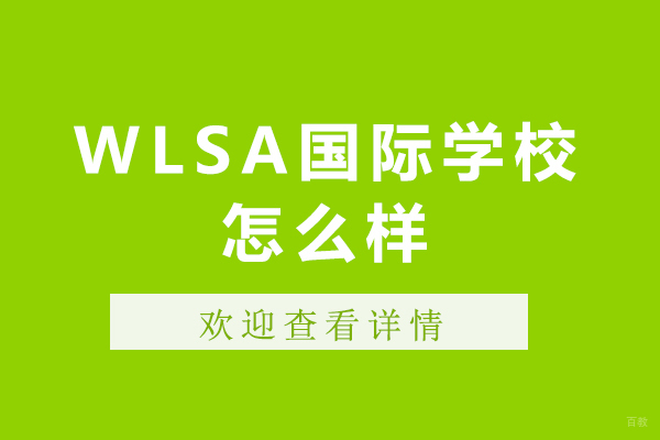 上海WLSA国际学校招生特色与入学标准深度解析