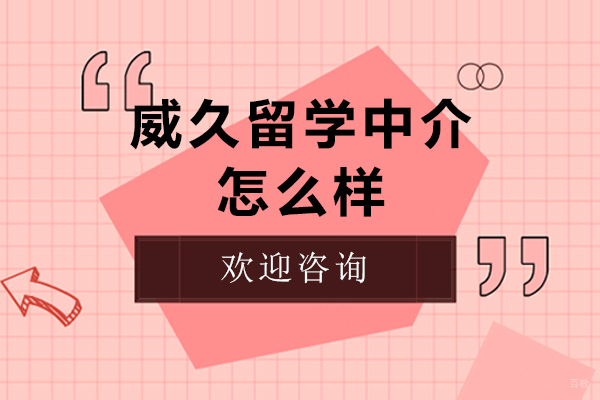 上海威久留学中介深度解析