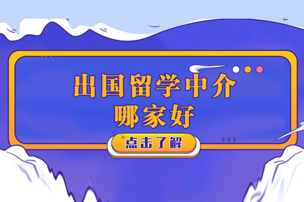 上海威久留学中介服务深度解析
