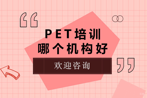 青岛PET培训机构深度解析：新东方课程特色全揭秘