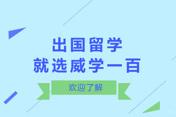 济南高端留学服务机构深度解析：威学一百特色服务全景展示