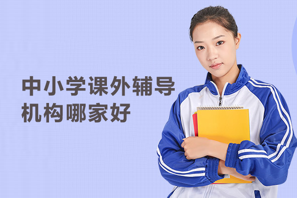 北京中小学课外辅导机构哪家好