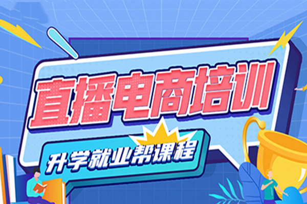 北京直播电商培训班