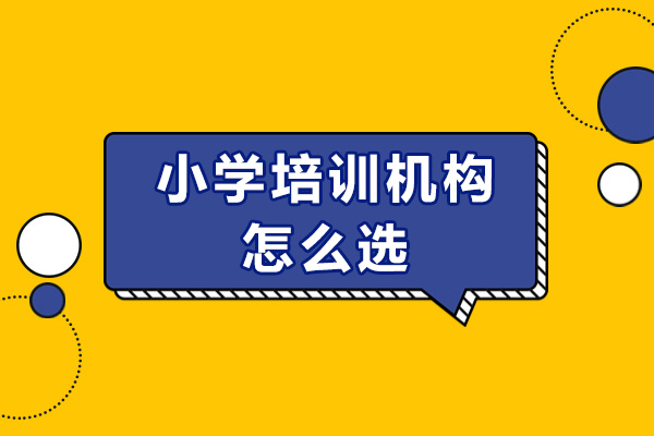 小学培训机构怎么选-有哪些注意点
