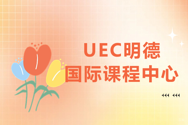 上海UEC明德国际课程体系深度解析