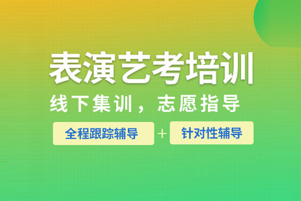 北京表演艺考培训班