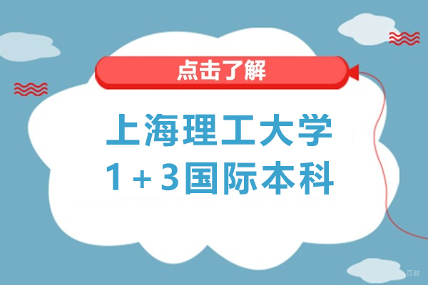 上海理工大学国际本科升学路径深度解析