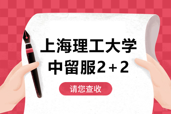 上海理工大学国际本科2+2项目深度解析