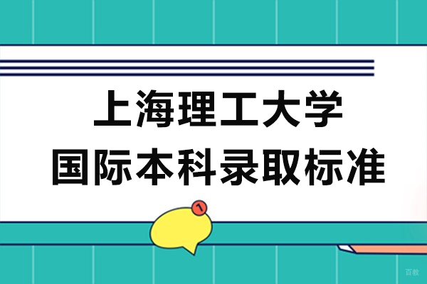 上海理工大学中英国际学院招生政策深度解读