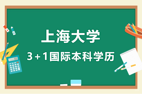 上海大学3+1国际本科权威解读：学历认证与升学优势全解析