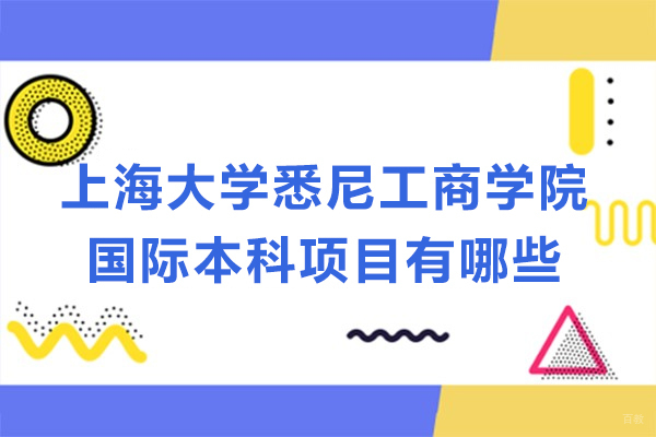 上海大学悉尼工商学院国际本科项目深度解析