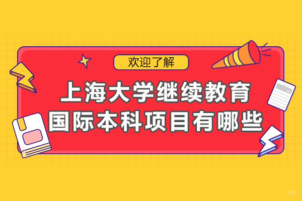 上海大学国际本科项目深度对比解析