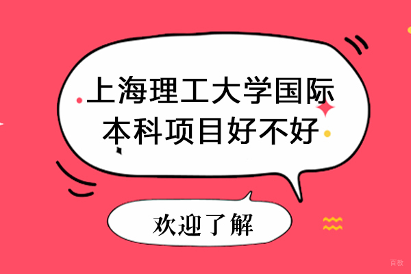 上海理工大学中英国际学院国际教育深度解析