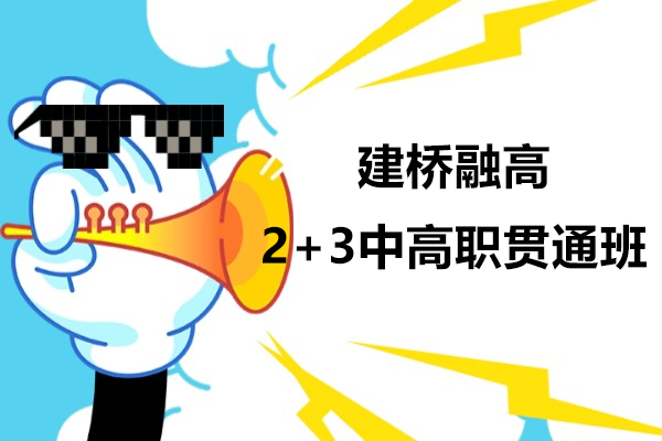 上海2+3中高职贯通班-建桥融高