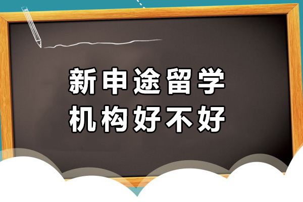 济南新申途留学机构深度解析