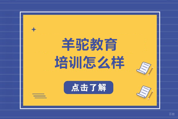 长春羊驼教育培训怎么样