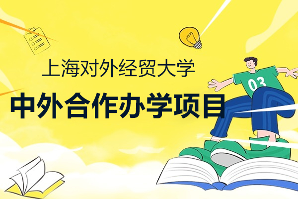 上海对外经贸大学国际教育合作全解析