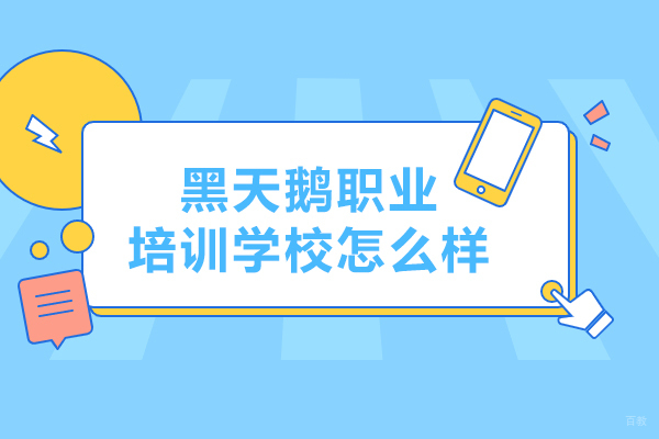 哈尔滨黑天鹅职业培训学校怎么样
