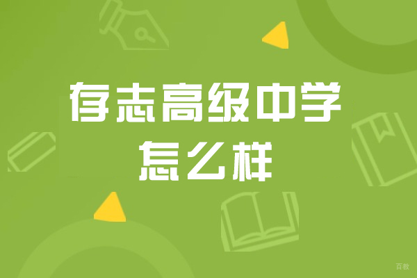 上海存志高级中学全方位解析：民办教育新标杆的崛起