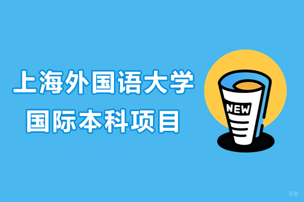 上海外国语大学国际本科项目深度解析与特色专业指南