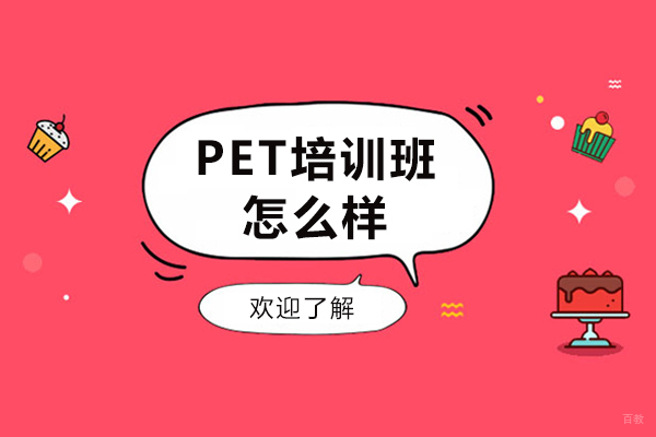 哈尔滨伴鱼少儿英语PET培训班怎么样
