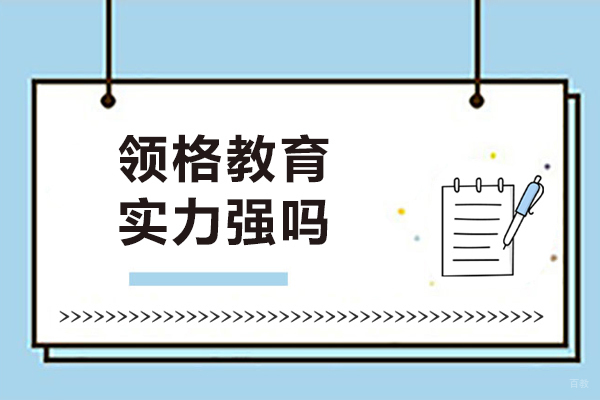 大连领格教育实力强吗
