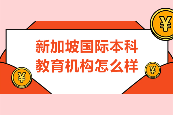 上海新加坡国际本科教育机构怎么样