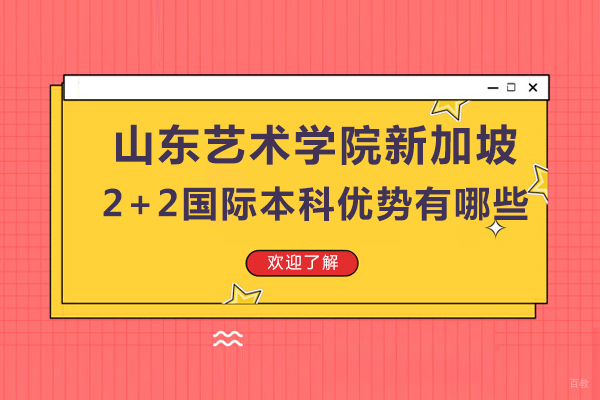 山东艺术学院国际本科项目深度解析