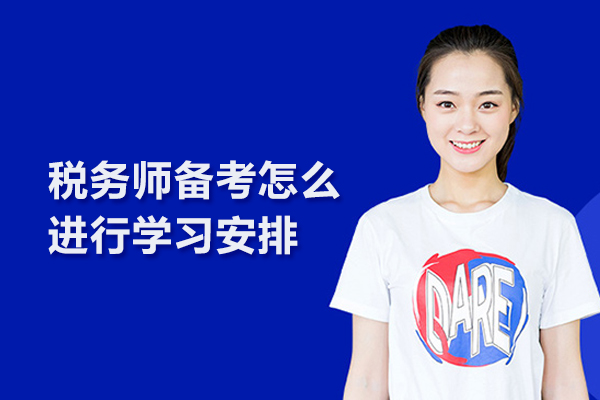 税务师备考怎么进行学习安排