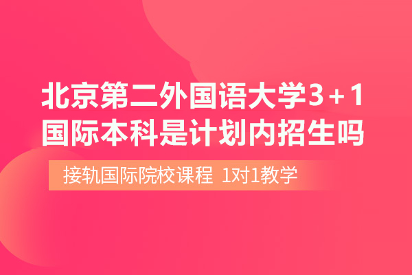 北京第二外国语大学3+1国际本科是计划内招生吗