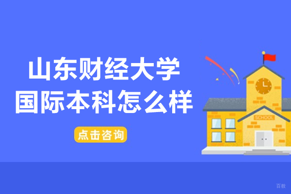 山东财经大学国际本科特色解析