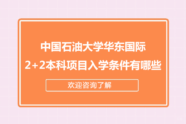 中国石油大学华东国际2+2本科项目全面解析：招生政策与升学优势