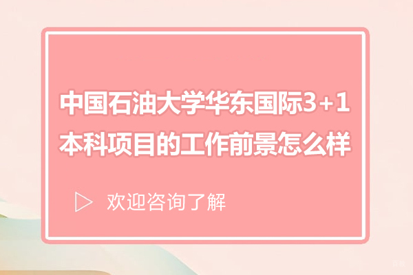 中国石油大学华东国际3+1项目竞争力深度解析