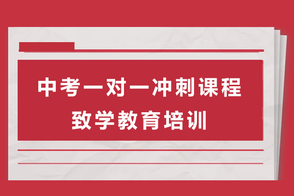 上海中考一对一冲刺课程-上海致学教育培训