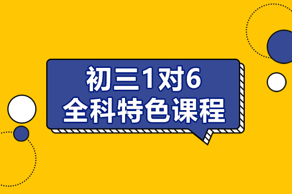 上海初三1对6全科特色课程-致学教育