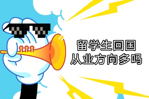 留学生回国从业方向多吗
