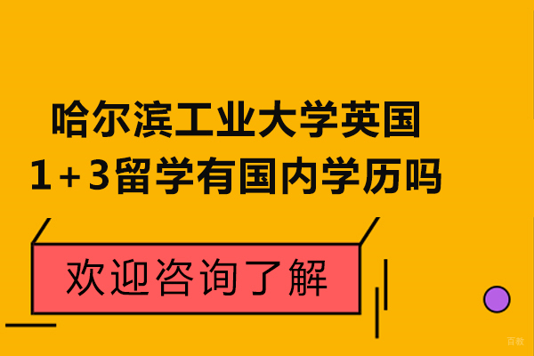 哈工大威海校区英国本科预科项目深度解析