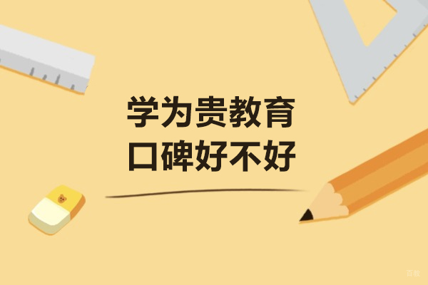 大连学为贵教育深度解析：教学品质与学员真实体验报告