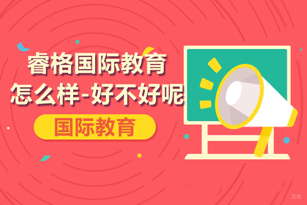 上海睿格国际教育深度解析：课程体系与教学特色全览