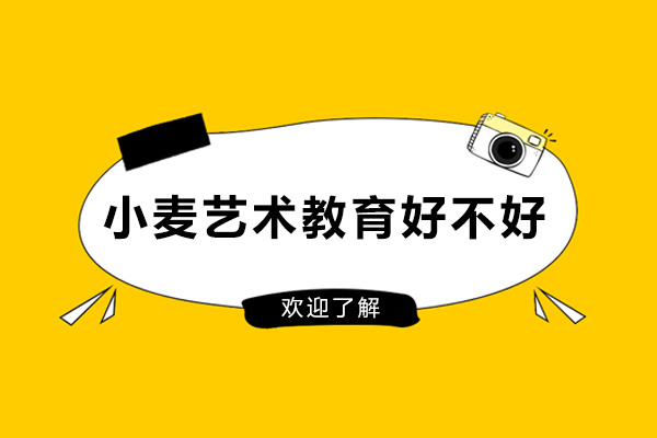 杭州小麦艺术教育好不好-怎么样
